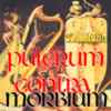 Mittelalter-Album Pulcrum contra morbium, f�r Details anclicken