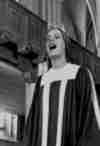 Marienkirche Wittstock, Aufnahmen f�r die DVD COINNEAL, zum Vergr�ssern klicken